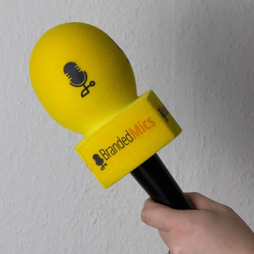 Microphone windshield