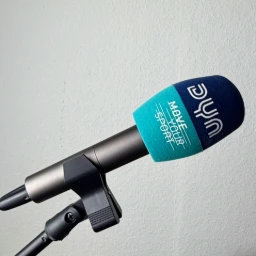 Printed windscreen for microphone