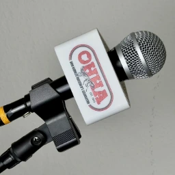 printzed microphone flag
