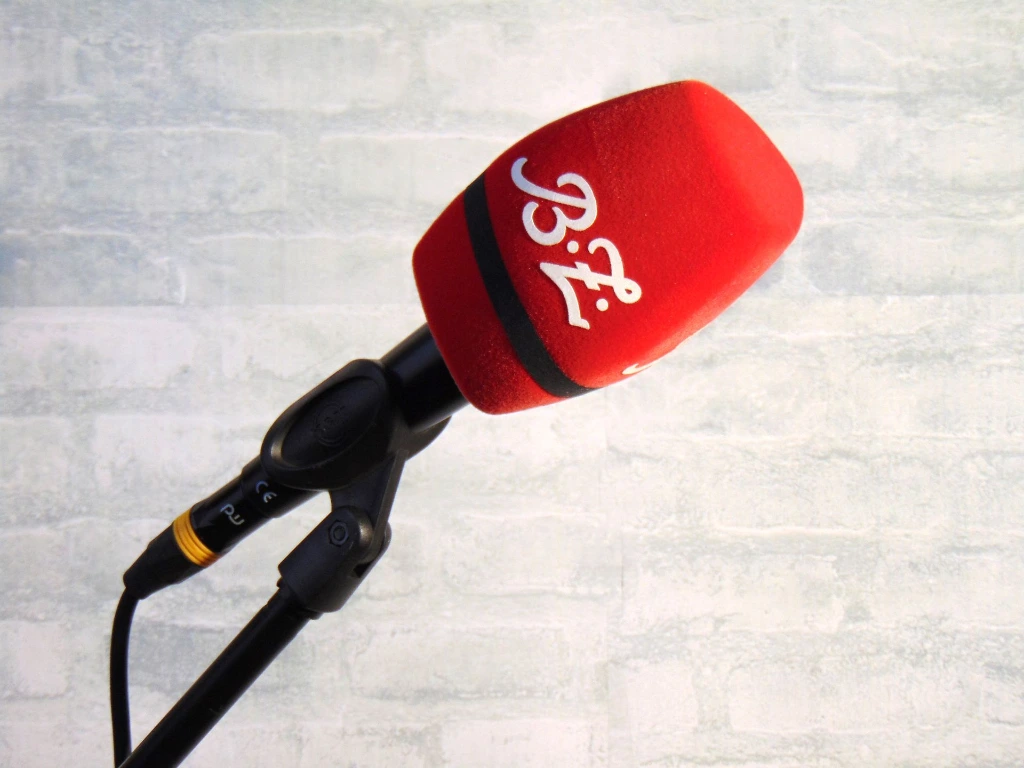 WS 9462_2.webp