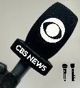 Premium Flag/Windscreen, Handheld Mic, Triangle, 2 logos